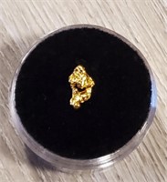 Gold Nugget #1