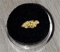 Gold Nugget #3