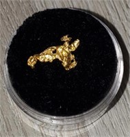 Gold Nugget #5