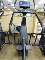 Stairmaster Free Climber 4600CL