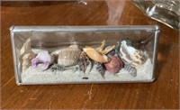 Seashells and Sand Decor (living room)