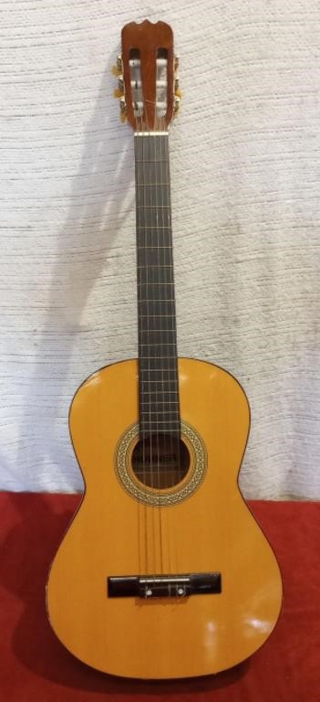 Hohner HGK610 Acoustic Guitar