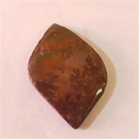 $200  Canadian Ammolite