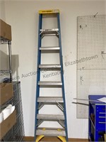 Werner 8 foot ladder