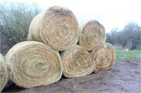 (9) 2016 First Crop Round Bales, 4FTx5FT6"