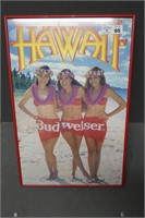 Hawaii Budweiser Advertising Picture