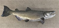 Salmon Fish Mount - 39" long
