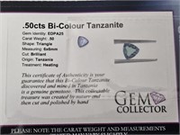 .50cts Bi-ColourTanzanite