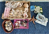 Clean up Lot with Seashells & More
