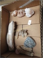 Lot: Crystal Growth, Petrafied Bone and Rattles