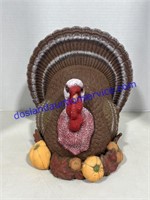 Ceramic Hand Painted Turkey