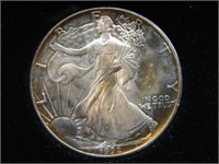 1992 BU American Silver Eagle w/ Toning
