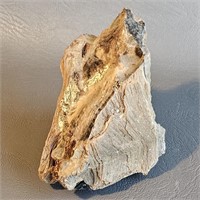 Petrified Wood Specimen Rock -Nice Grain 4"