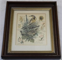 Bird Print in Walnut Shadowbox Frame