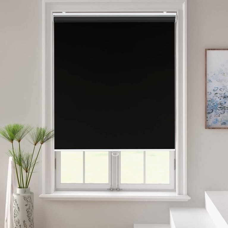 Roller Window Shades Blackout Blinds