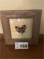 BUTTERFLY SHADOWBOX