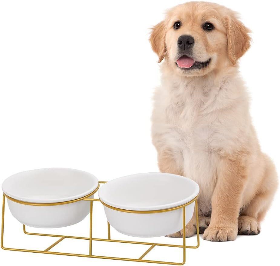 Large Small Double Elevated Dog Bowls - Raised