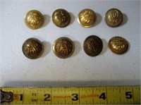 8 Pc 7/8" Scoville Mfg Co Antique Brass Buttons
