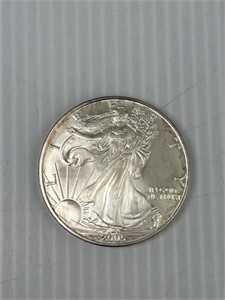 2005 Silver Eagle Coin