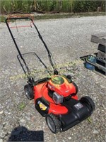 Briggs  n Stratton Push Mower