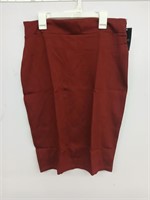 SIZE Large ExChic Women's Skirt