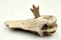 Arrowhead In Bone