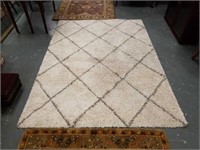 Modern Shag rug
