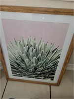 Framed Cactus print. 16" x 20"