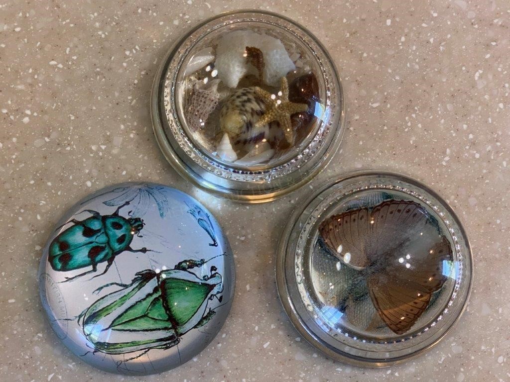 3 Glass Paperweights