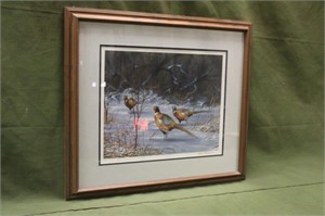 Mark Anderson Pheasant Print 1/1500 Approx 30"x27"