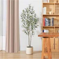 E5059  DR.Planzen 5FT Olive Tree 8.6 Planter