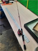 Zebco fishing pole and reel