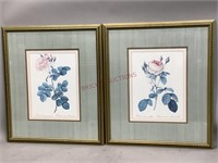 Two Framed Botanical Images of Roses