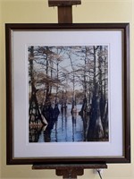 Framed Original Photograph-Cypress Trees
