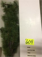 Lighted pine tree (estate)