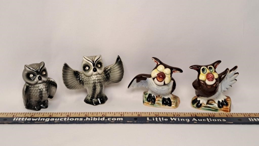 Owls S & P Lot