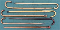 Six canes and one walking stick