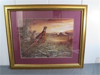 *Framed/Matted Pheasant Print 23" x 19"