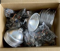 Box of 36 Lamp Heads and 26 Cords