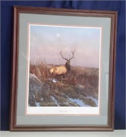 SN/LE Wildlife Art Print Deer Stag Buck Elk