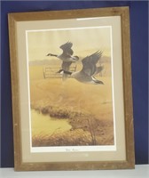 SN/LE Wildlife Art Print Canadian Geese
