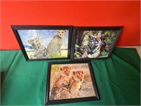 3 Framed 8x10's Wildife