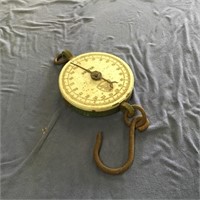 Salter scales