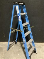 6' Werner Fiberglass Ladder