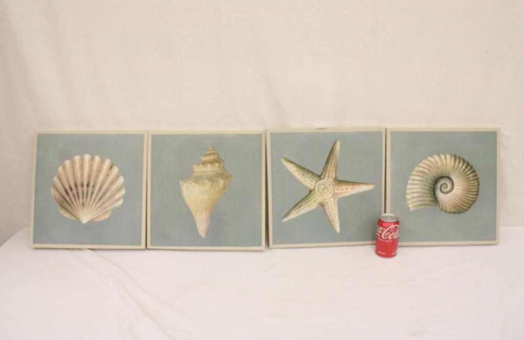 4 Shell Pics on Canvas ~ 14" x 14"