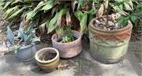 Potted Plants