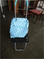 Rolling cart with bag
