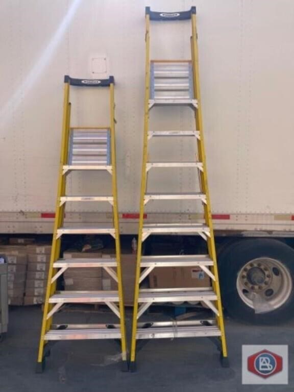 2 pcs mix ladders; assorted Werner ladders