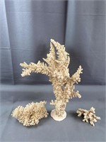 Lot of Coral