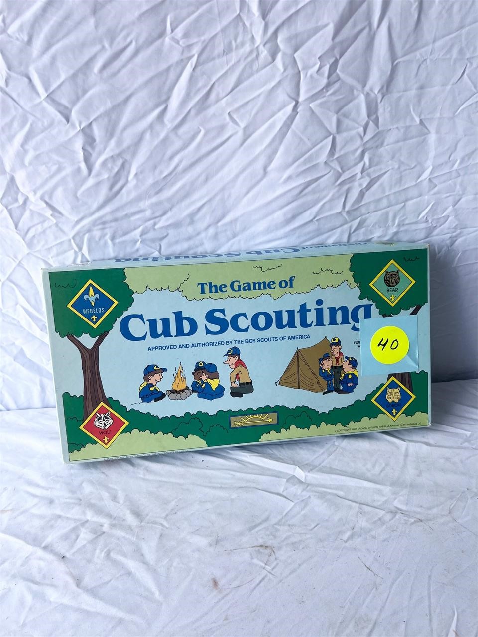 Boy Scout Game